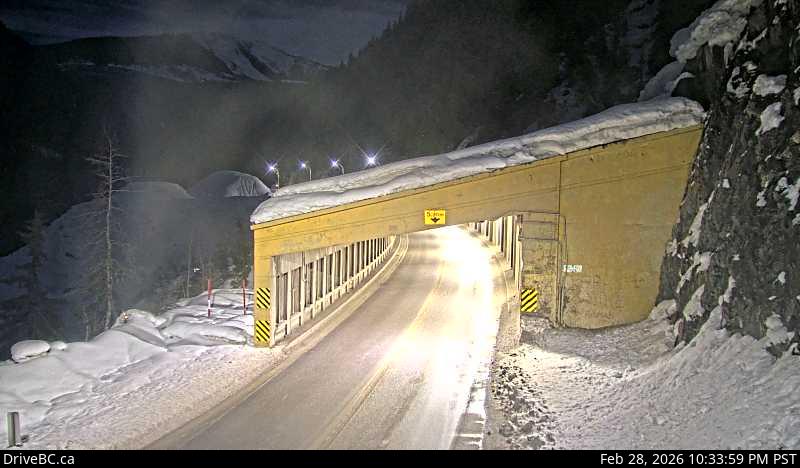 Jack McDonald Snowshed - W