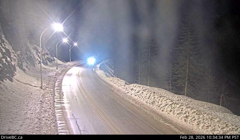 Jack McDonald Snowshed - E