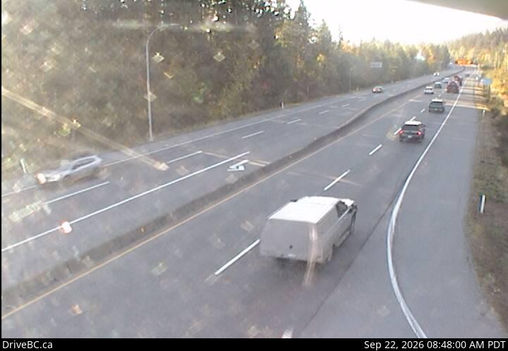 Live DriveBC webcam: Butterfield Road — South on Highway 1 (Malahat)