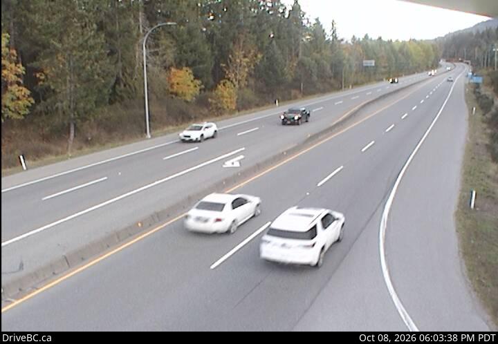 DriveBC webcam: Butterfield Road — South on Highway 1 (Malahat)