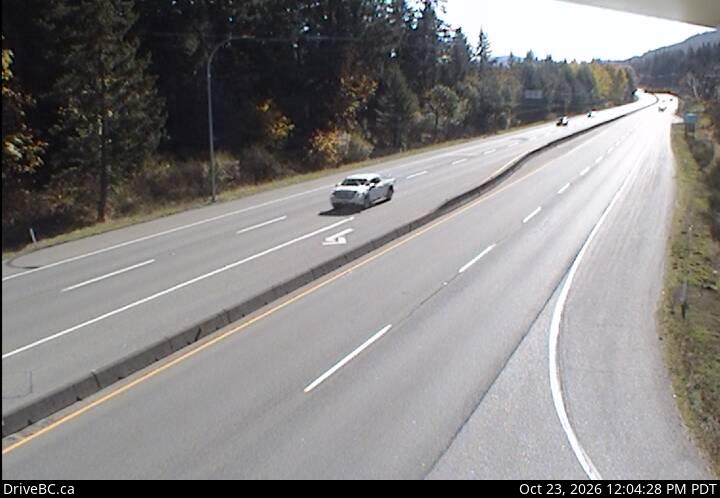 DriveBC webcam: Butterfield Road — South on Highway 1 (Malahat)