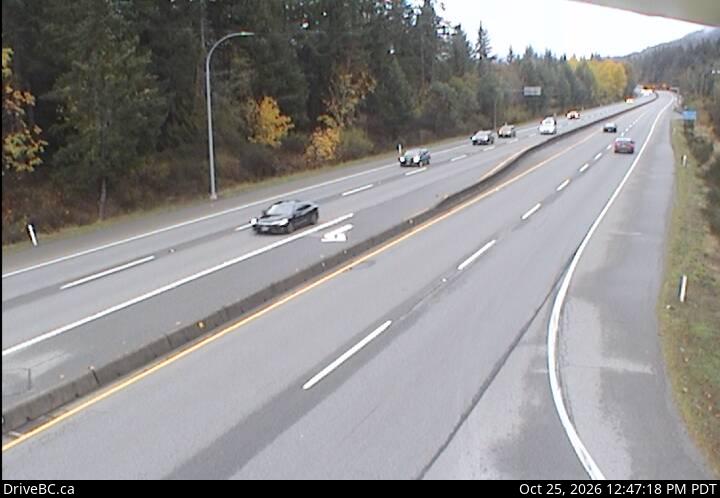 DriveBC webcam: Butterfield Road — South on Highway 1 (Malahat)