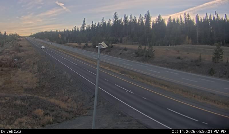 Walloper — Hwy 5 about 30 km south of Kamloops