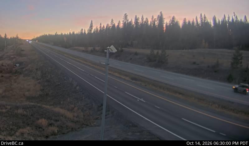 Walloper — Hwy 5 about 30 km south of Kamloops