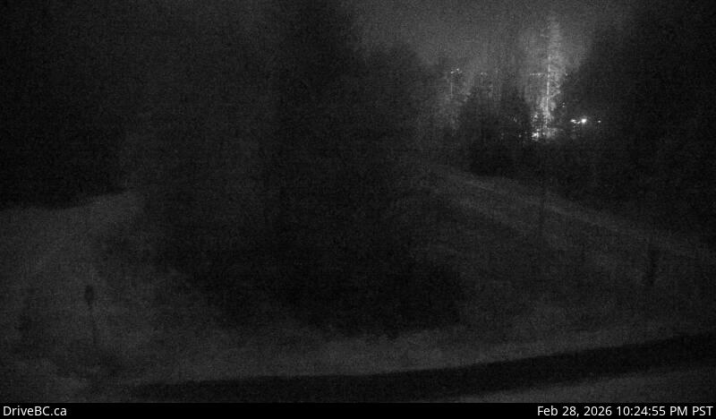 Herrling Island Overpass - W